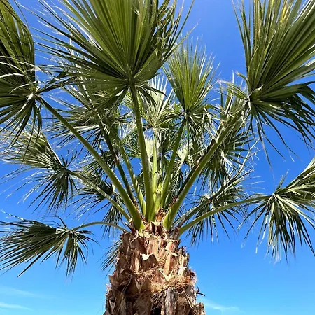 Casa Sun Holiday home